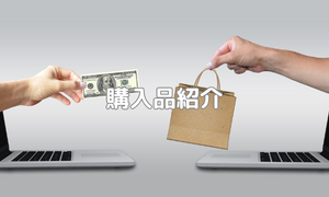 購入品紹介